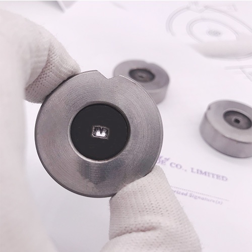 Tungsten carbide profile dies