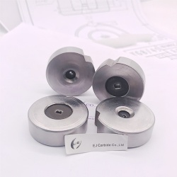 Tungsten carbide profile dies